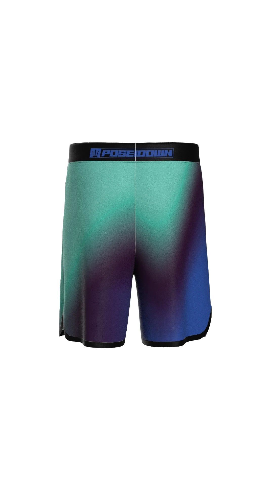 Aurora Veil Boardshort